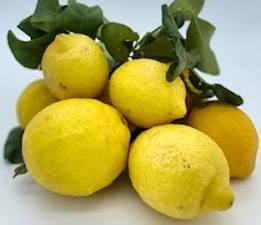 citrons jaune francais les 500 gr